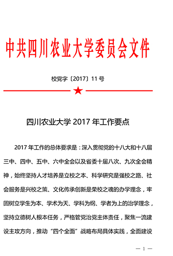 welcome欢迎光临威尼斯公司2017年工作要点